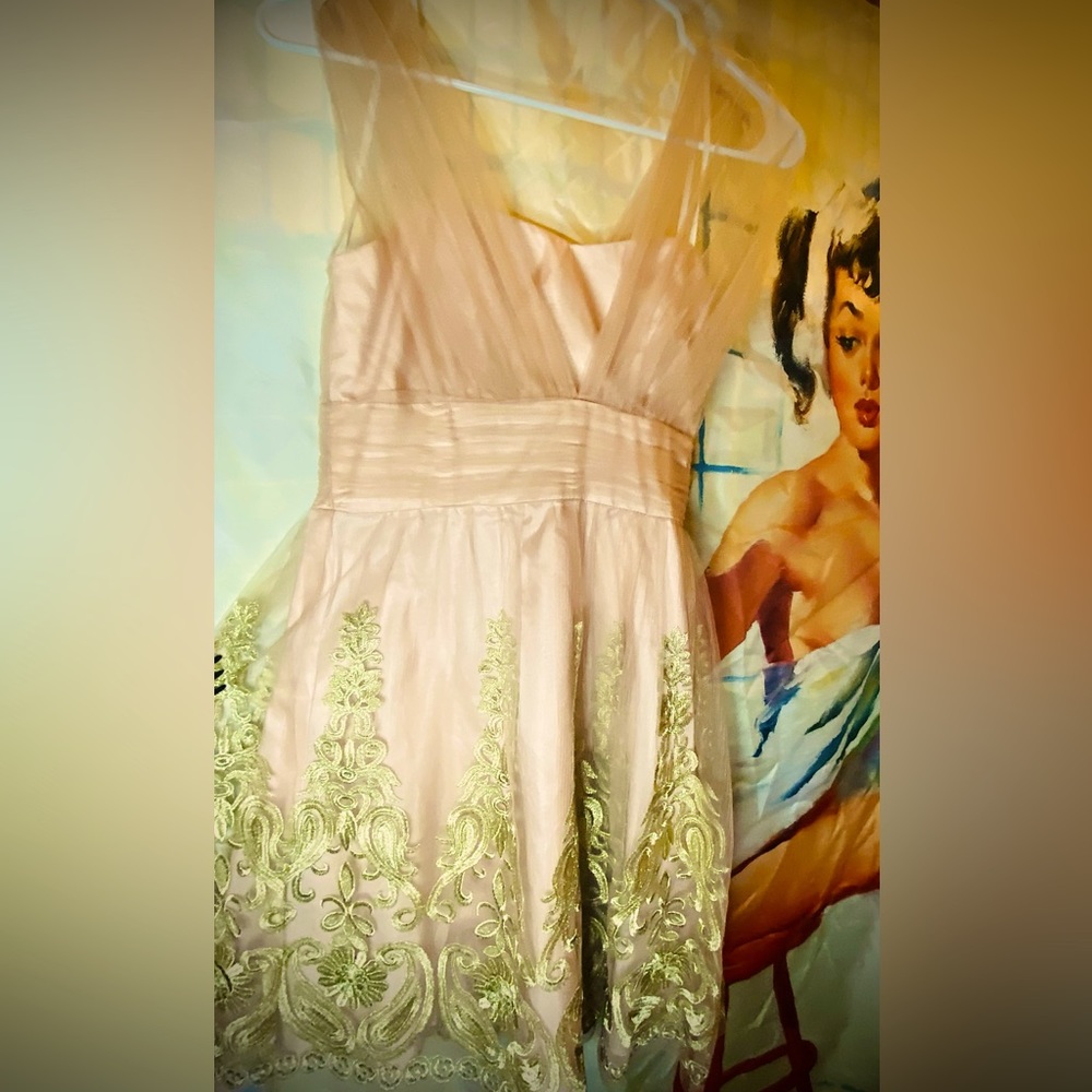 DECODE BRAND TULLE CHIFFON DRESS